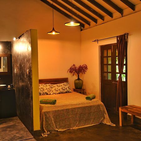 Bed and Breakfast Jardin D'Ulysse & Hard Rock Morjim Exteriér fotografie